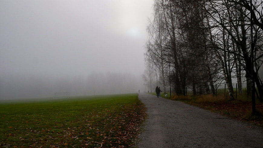 Foggy Autumn Path in Park with Walking Couple
