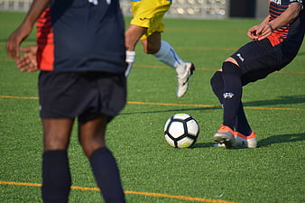 Soccer players competing for the ball on a green field