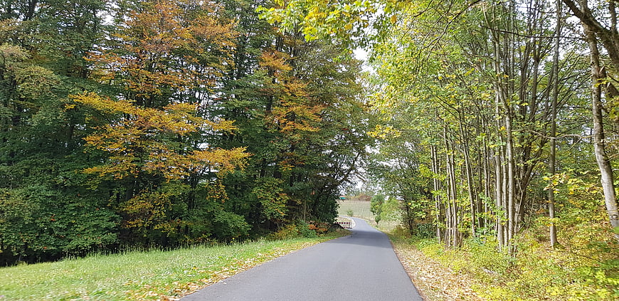 Paved path winding through autumn forest with colorful trees