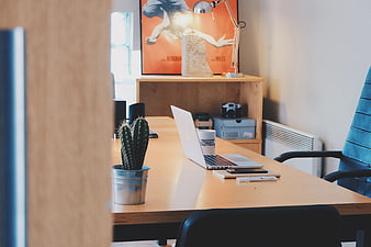 Modern home office workspace with laptop and cactus