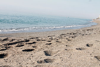 Footprints in Sand on Beach Shoreline with Ocean Waves