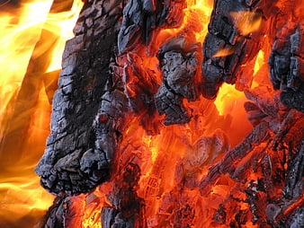 Close-up of burning charcoal and glowing embers