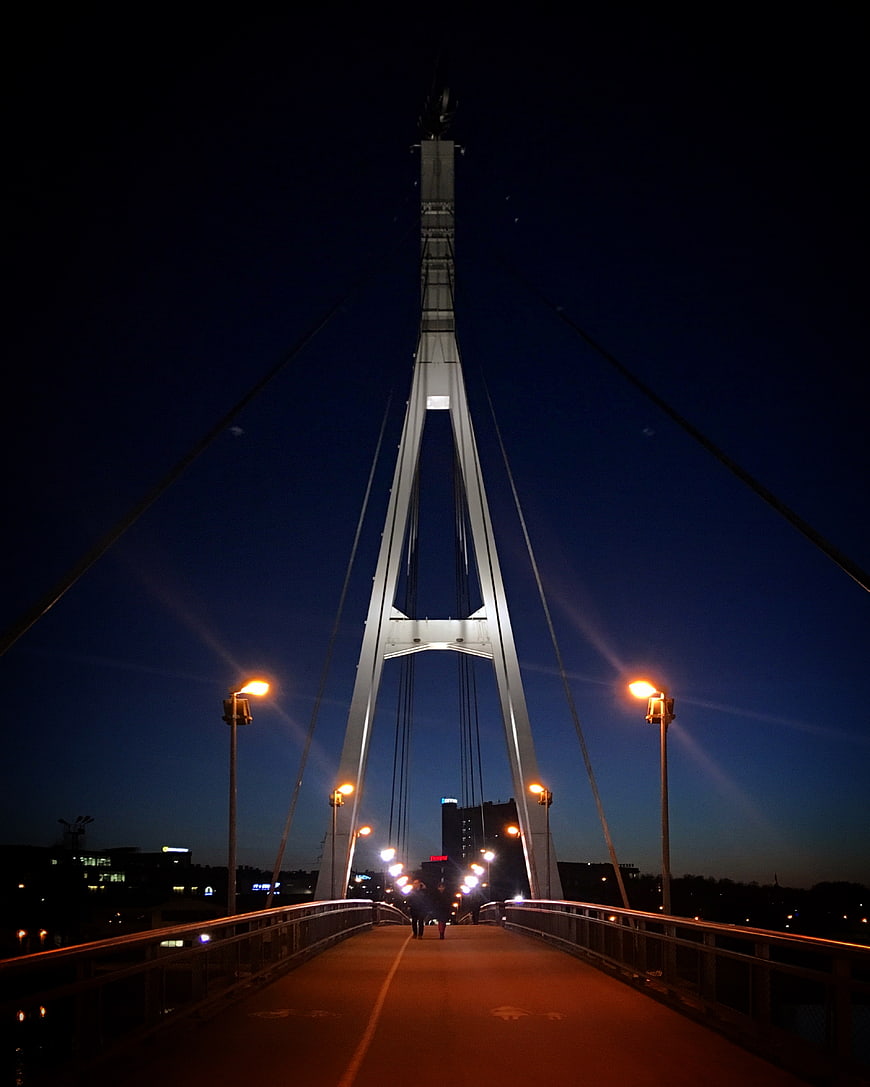 Modern cable-stayed bridge at night with city lights
