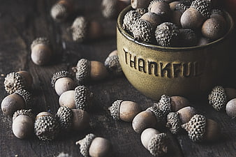 Rustic Bowl with Thankful Text Surrounded by Acorns