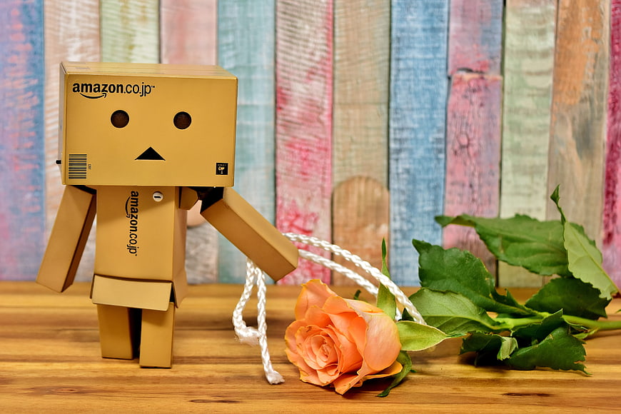 Danbo cardboard robot kneeling with orange rose on wooden table