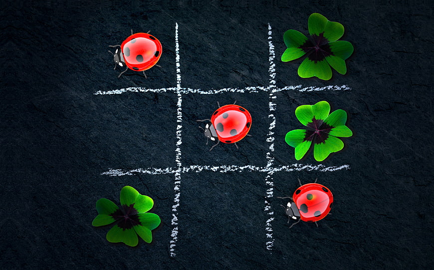 Ladybug and Clover Tic Tac Toe Game on Dark Chalkboard