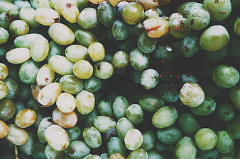 Close-up of fresh green grapes with natural texture