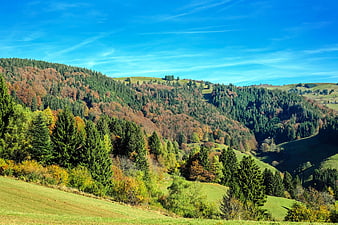 Scenic autumn landscape with rolling hills and colorful forest