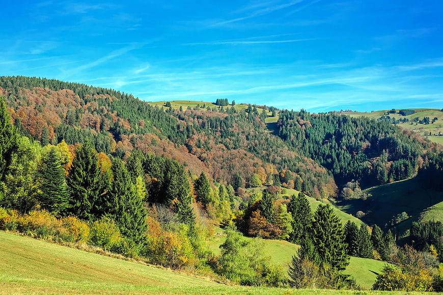 Scenic autumn landscape with rolling hills and colorful forest