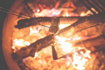 Roasting Marshmallows Over a Campfire at Night