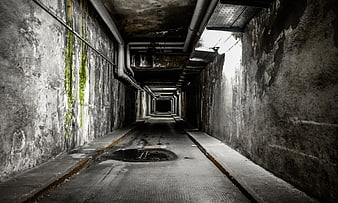 Dark atmospheric concrete tunnel with pipes and moss