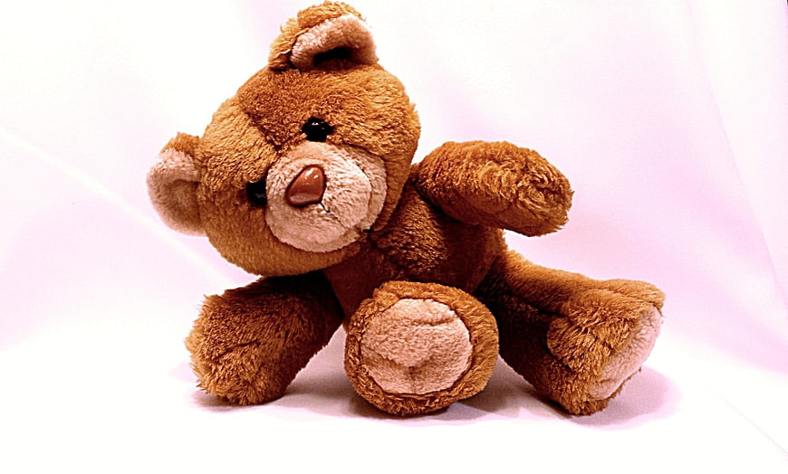 Cute brown teddy bear sitting on white background