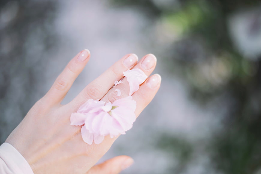 Woman's hand holding delicate pink flower petals