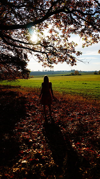 Woman walking away under autumn tree branches