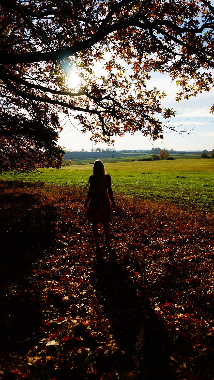 Woman walking away under autumn tree branches
