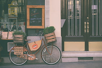Vintage Bicycle with Plants Outside European Bar