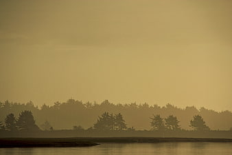 Misty Forest Silhouette at Sunset Over Calm Lake