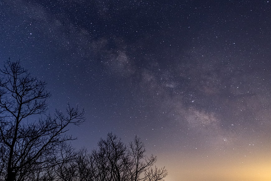 Milky Way Galaxy Over Silhouetted Trees at Night