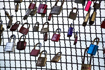 Colorful love padlocks attached to a metal fence grid