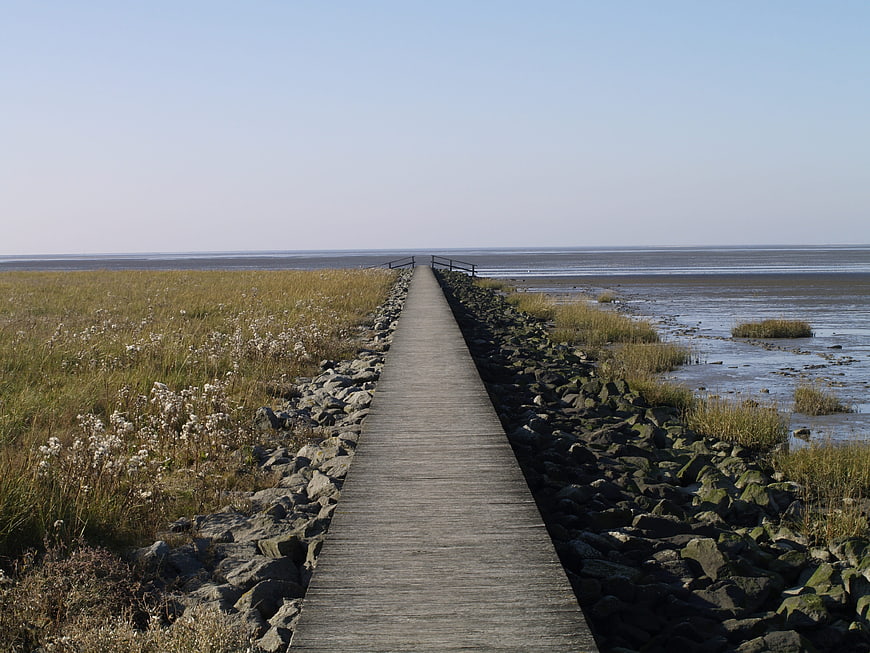 Wooden boardwalk path leading to the North Sea horizon