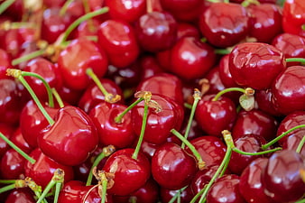 Close-up of fresh ripe red cherries with green stems