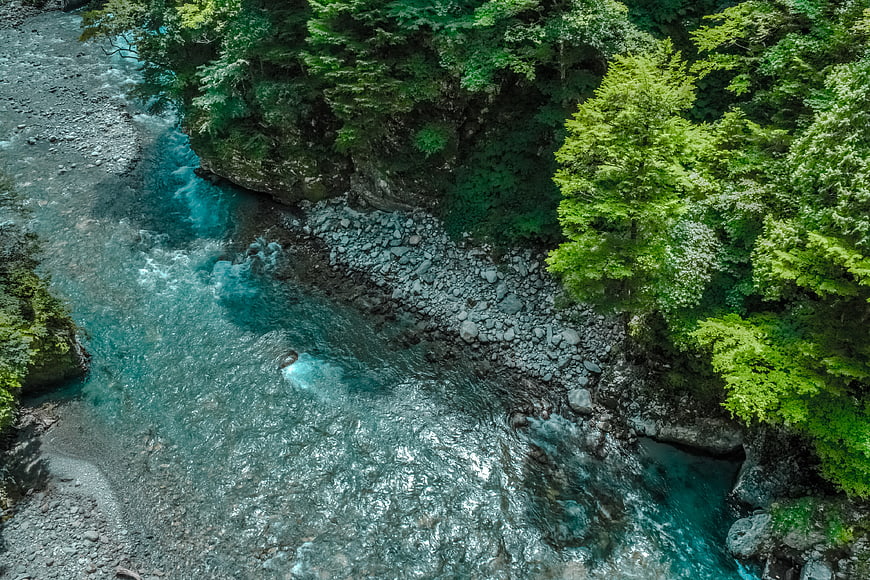 Aerial view of turquoise river flowing through lush green forest