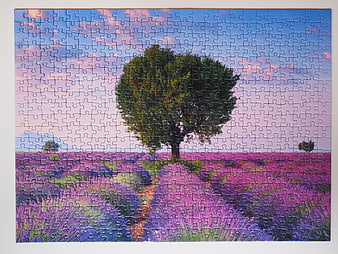 Completed Jigsaw Puzzle Featuring Lavender Field and Tree