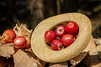 Fresh Red Apples in a Woven Straw Hat on Wood