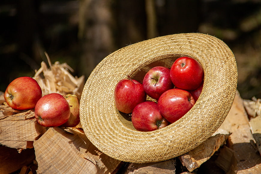 Fresh Red Apples in a Woven Straw Hat on Wood