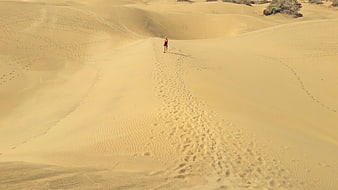 Lone Hiker Walking on Sand Dunes in Desert Landscape