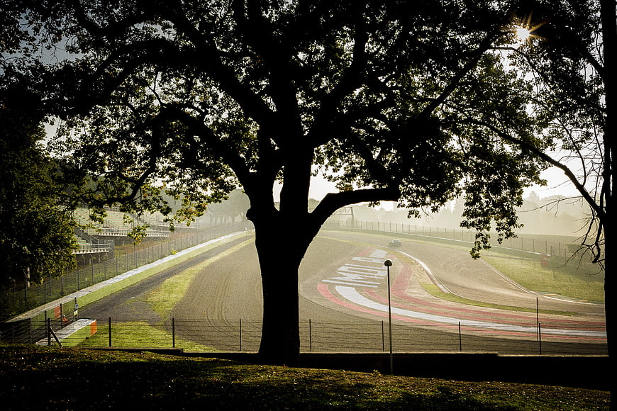 Silhouette of large tree overlooking misty race track