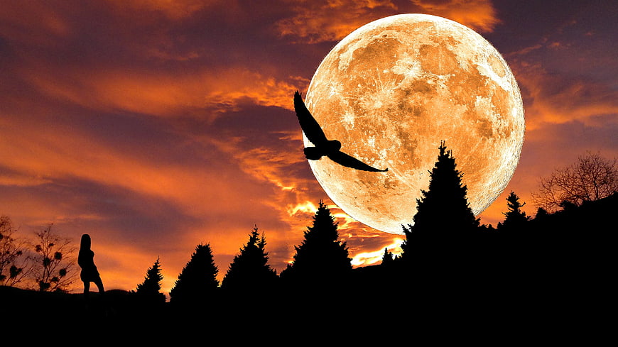 Silhouette of woman and owl against giant orange moon