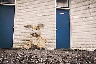 Lonely Easter Bunny Costume Begging for Food