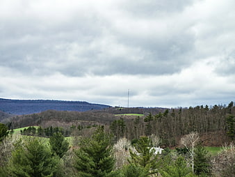 Rolling Hills and Forest Landscape Under Cloudy Sky