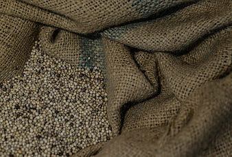 White peppercorns spilling from a rustic burlap sack