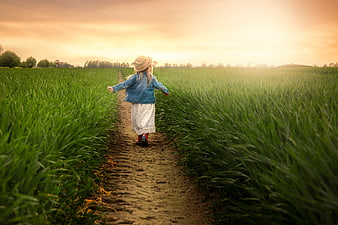 Little Girl Walking In Green Wheat Field At Sunset