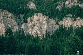Dramatic Rocky Cliff Face Surrounded by Dense Pine Forest