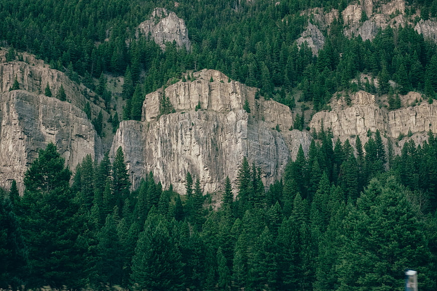 Dramatic Rocky Cliff Face Surrounded by Dense Pine Forest