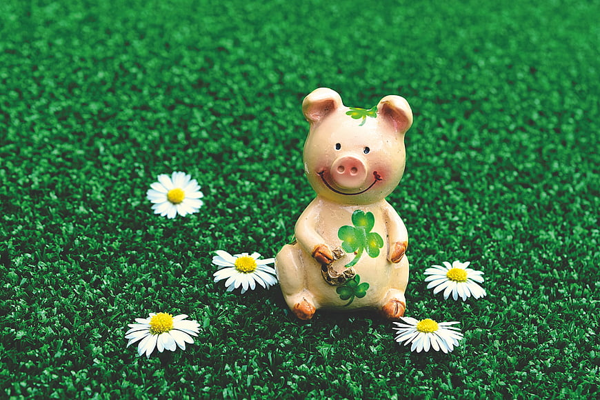 Cute ceramic pig figurine with shamrocks on green grass