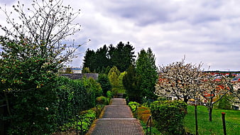 Paved Path Through Green Garden in Spring