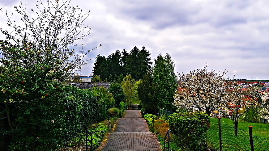 Paved Path Through Green Garden in Spring