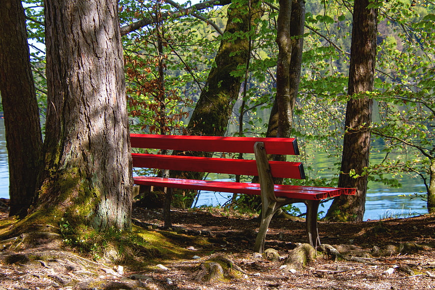 Red Wooden Bench In Forest Near Lake
