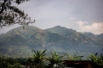 Lush Green Mountain Landscape with Tropical Vegetation and Cloudy Sky