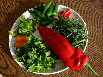 Fresh Herbs And Chili Peppers On White Plate