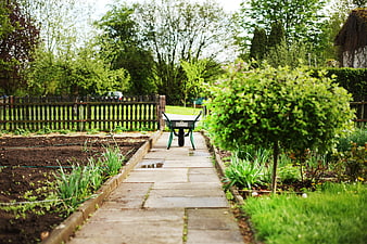 Wheelbarrow on stone path in lush spring allotment garden