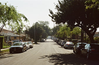 Quiet suburban street with parked cars and trees