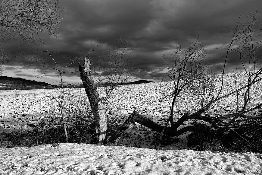 Dramatic Black and White Winter Landscape with Snowy Field