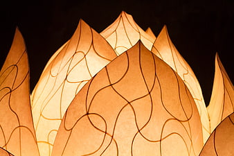 Illuminated Lotus Lantern Design With Warm Glow Against Dark Background