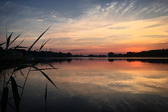 Serene Sunset Over Lake with Reeds Silhouette