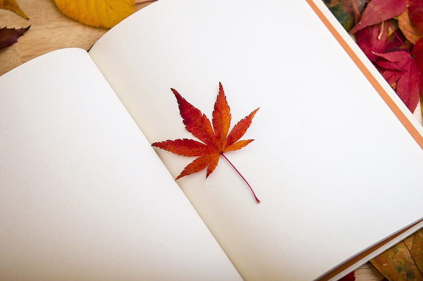 Red maple leaf on open notebook page with autumn background